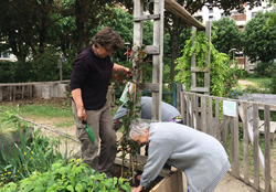 Le Jardin du Paradis